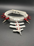 Nurse Vertabra Collar