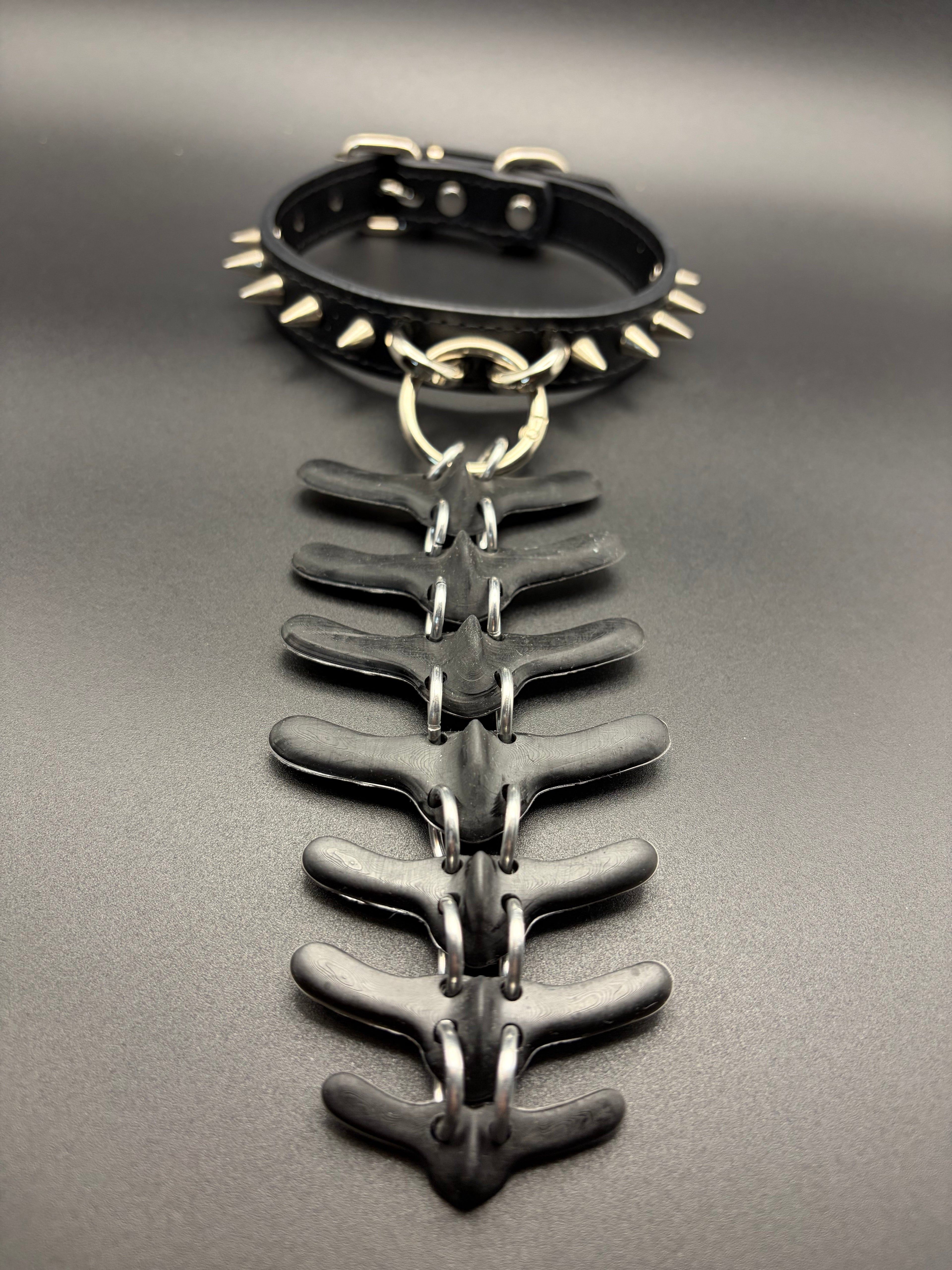 Small Swappable Vertebra Collar (Black / Black)