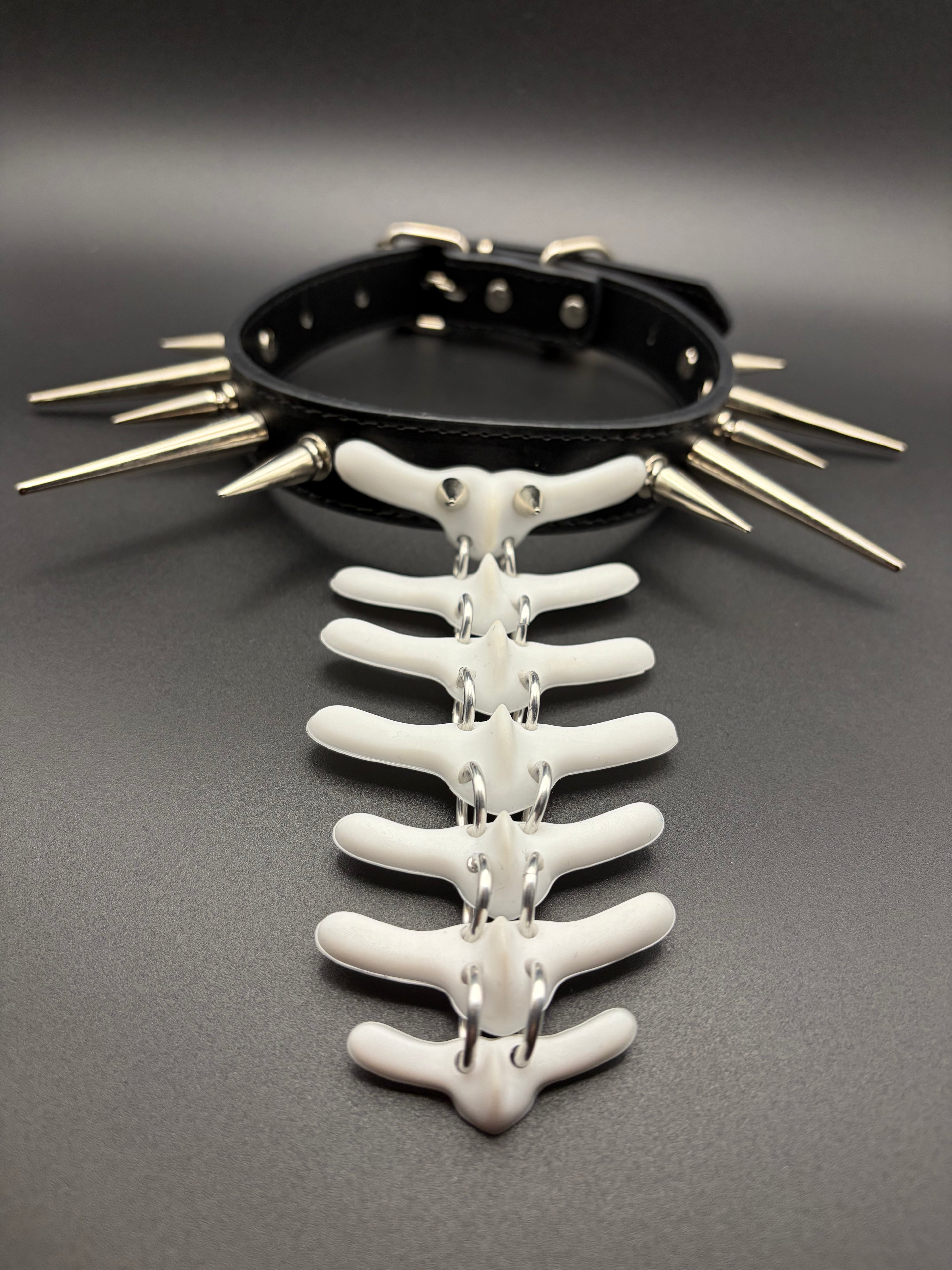 Fixed Vertebra Collar (Black)