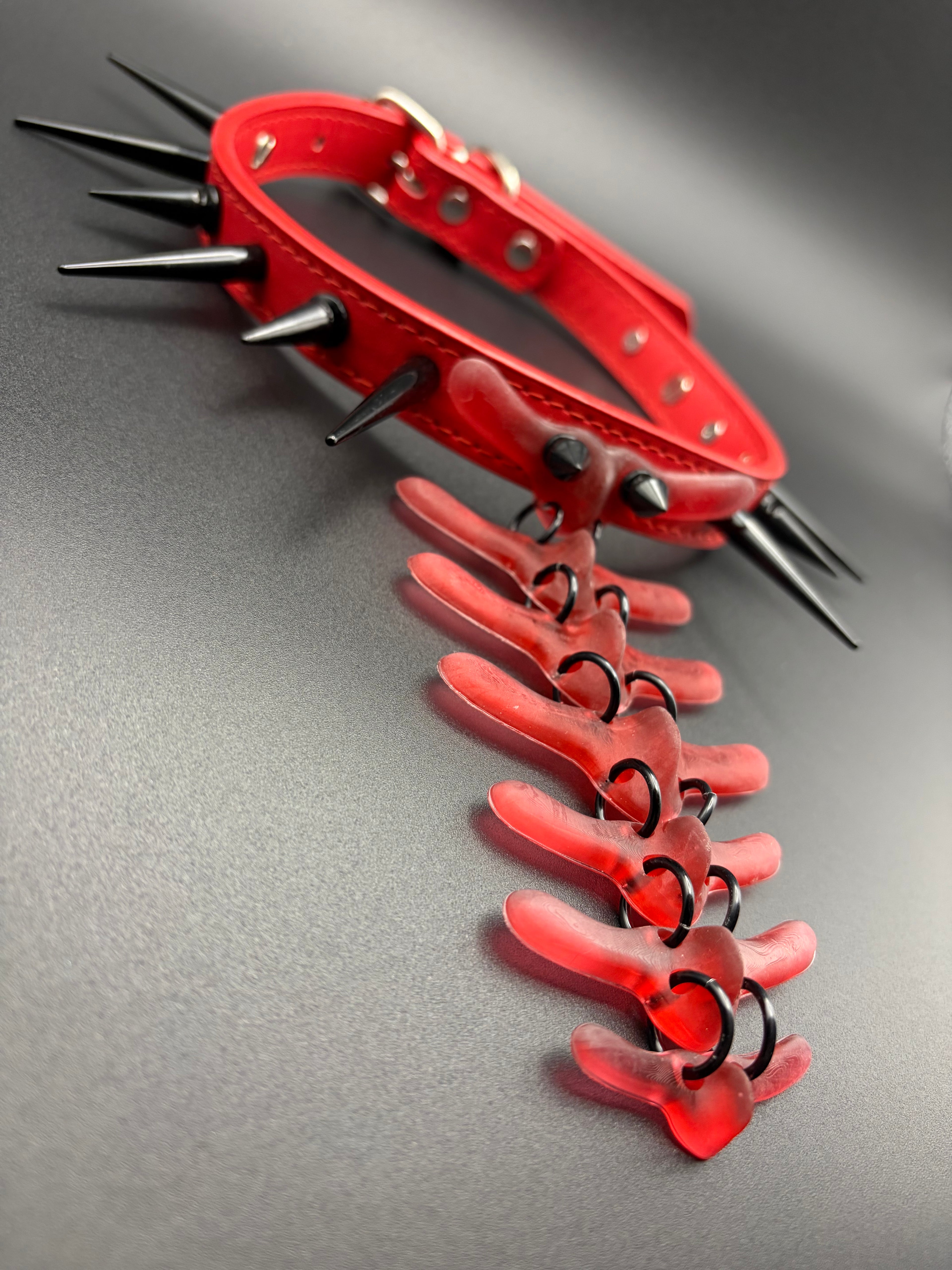 Fixed Vertebra Collar (Red / Black)